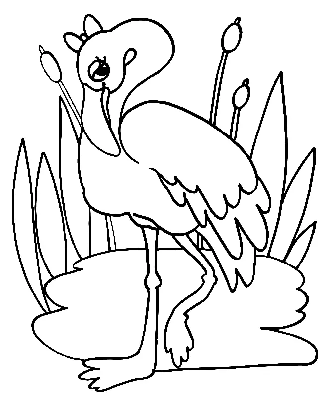 Flamingo Coloring Pages