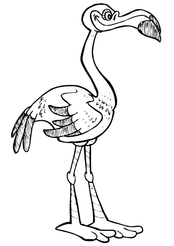 Flamingo Coloring Pages