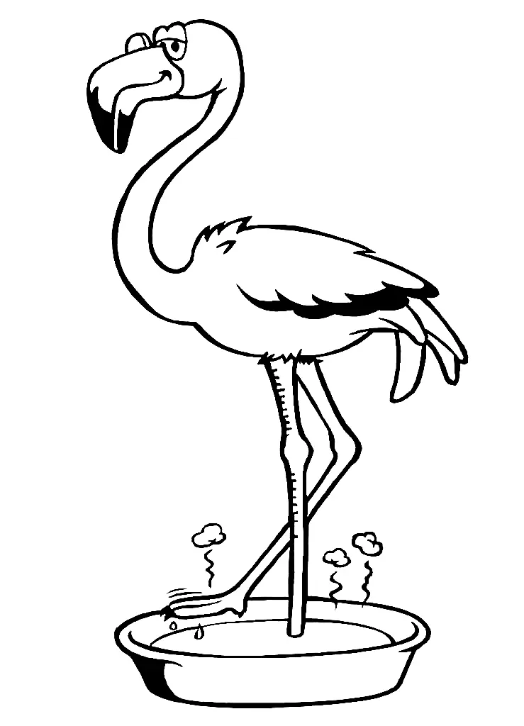 Flamingo Coloring Pages