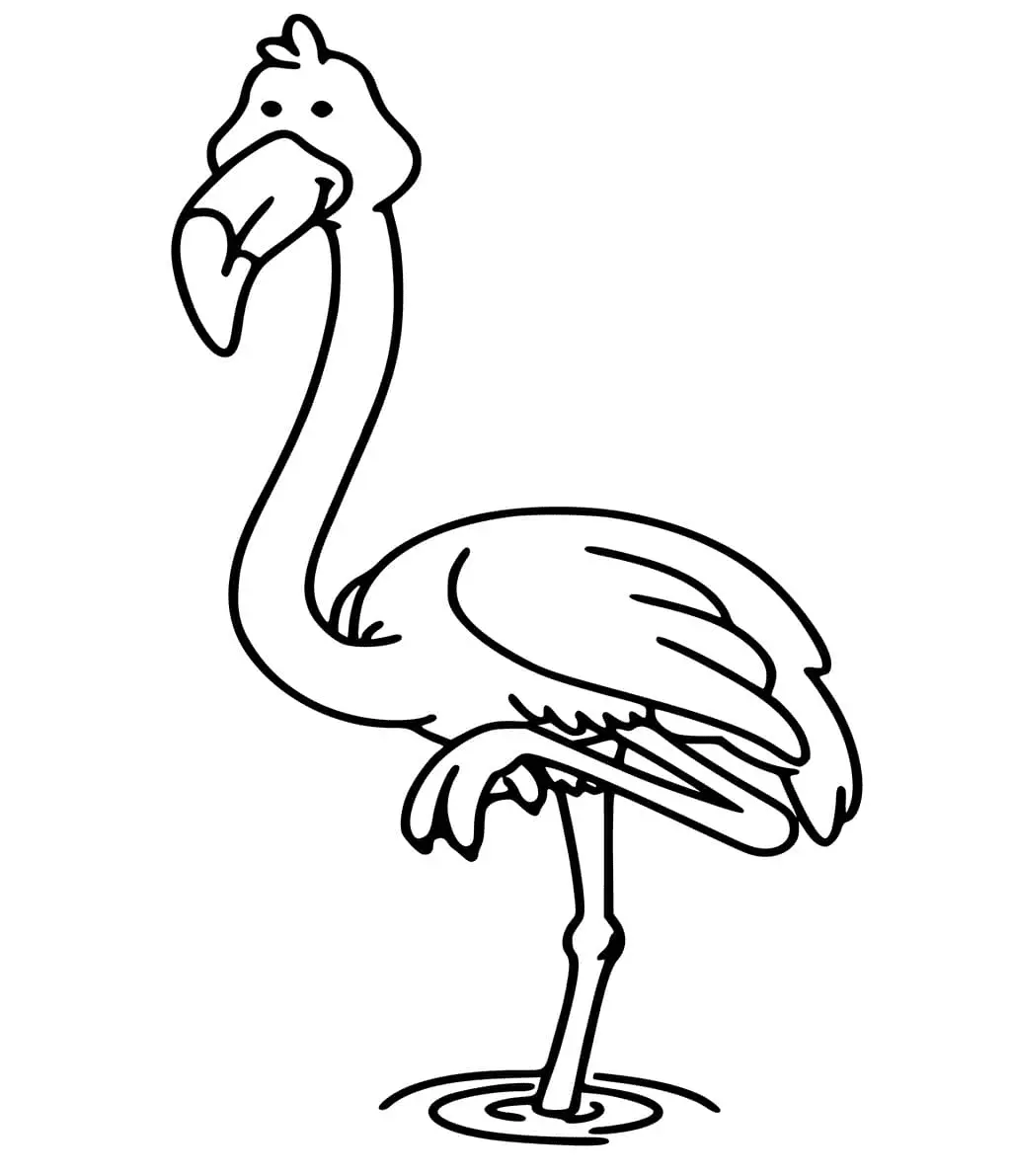 Flamingo Coloring Pages