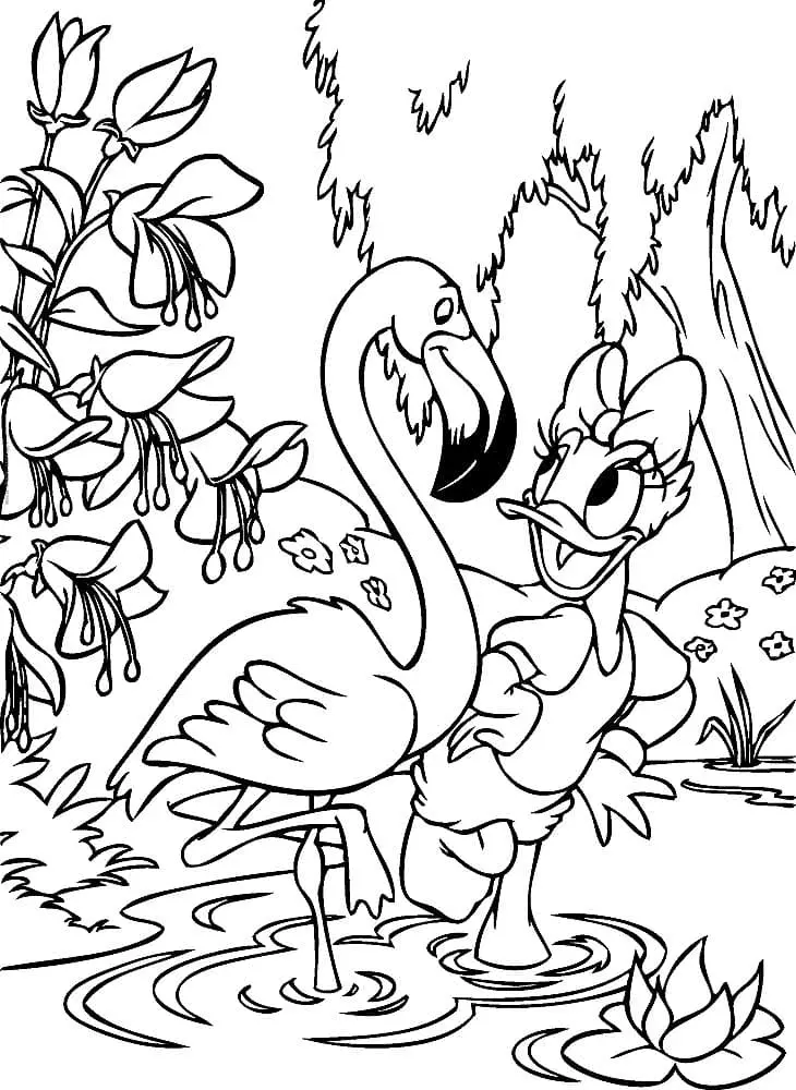 Flamingo Coloring Pages