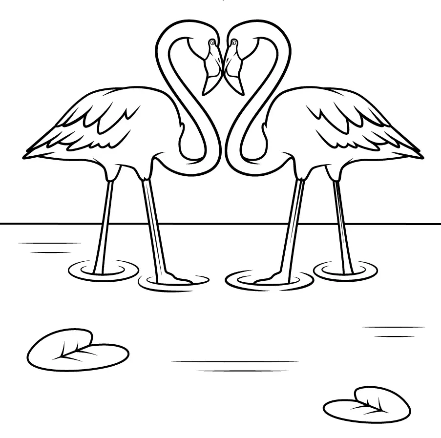 Flamingo Coloring Pages