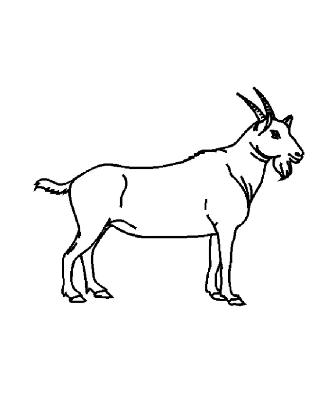 Goat Coloring Pages