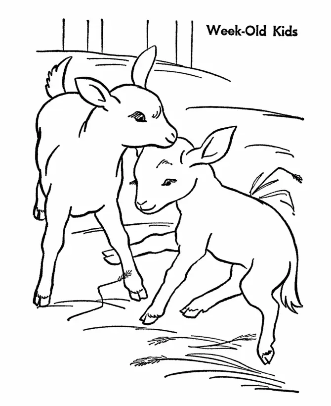 Goat Coloring Pages