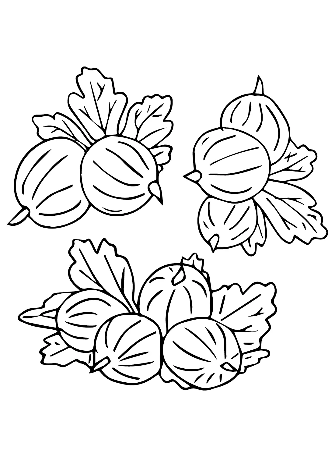 Gooseberry Coloring Pages