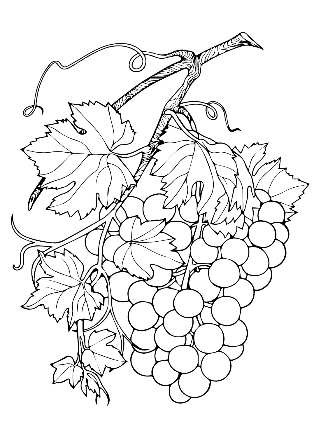 Grapes Coloring Pages