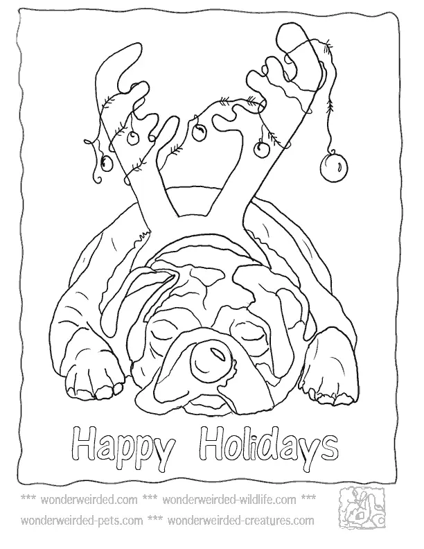 Happy Holidays Coloring Pages