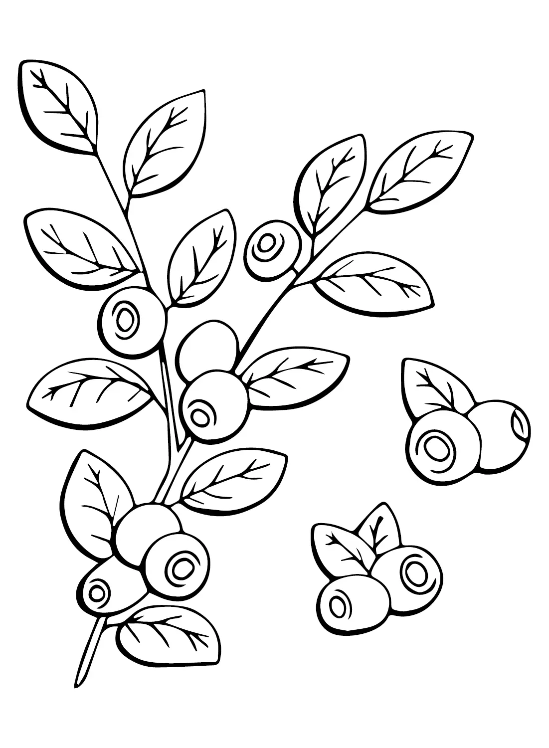 Huckleberry Coloring Pages
