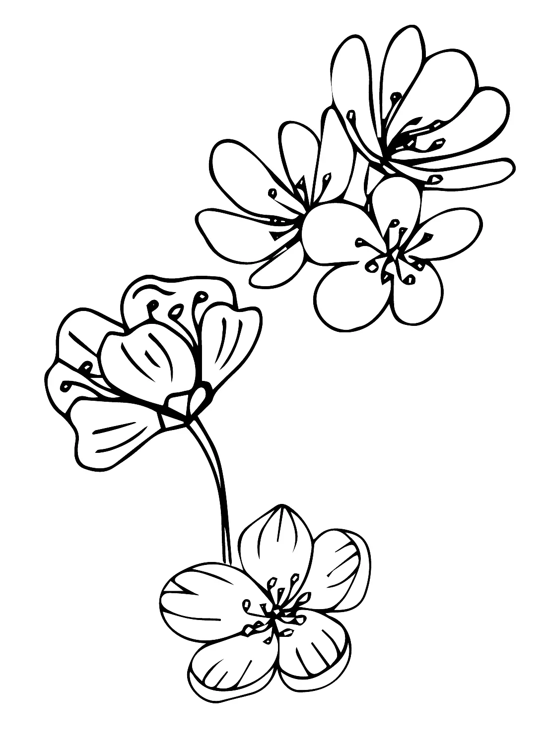 Japan Coloring Pages