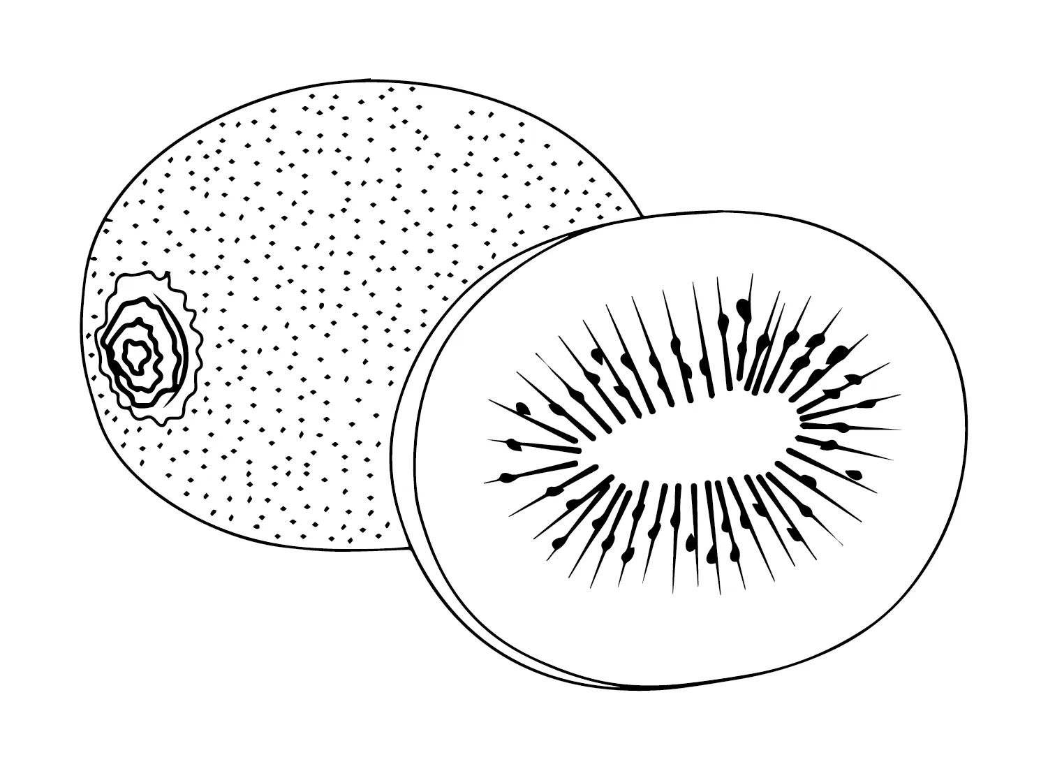 Kiwi Fruit Coloring Pages