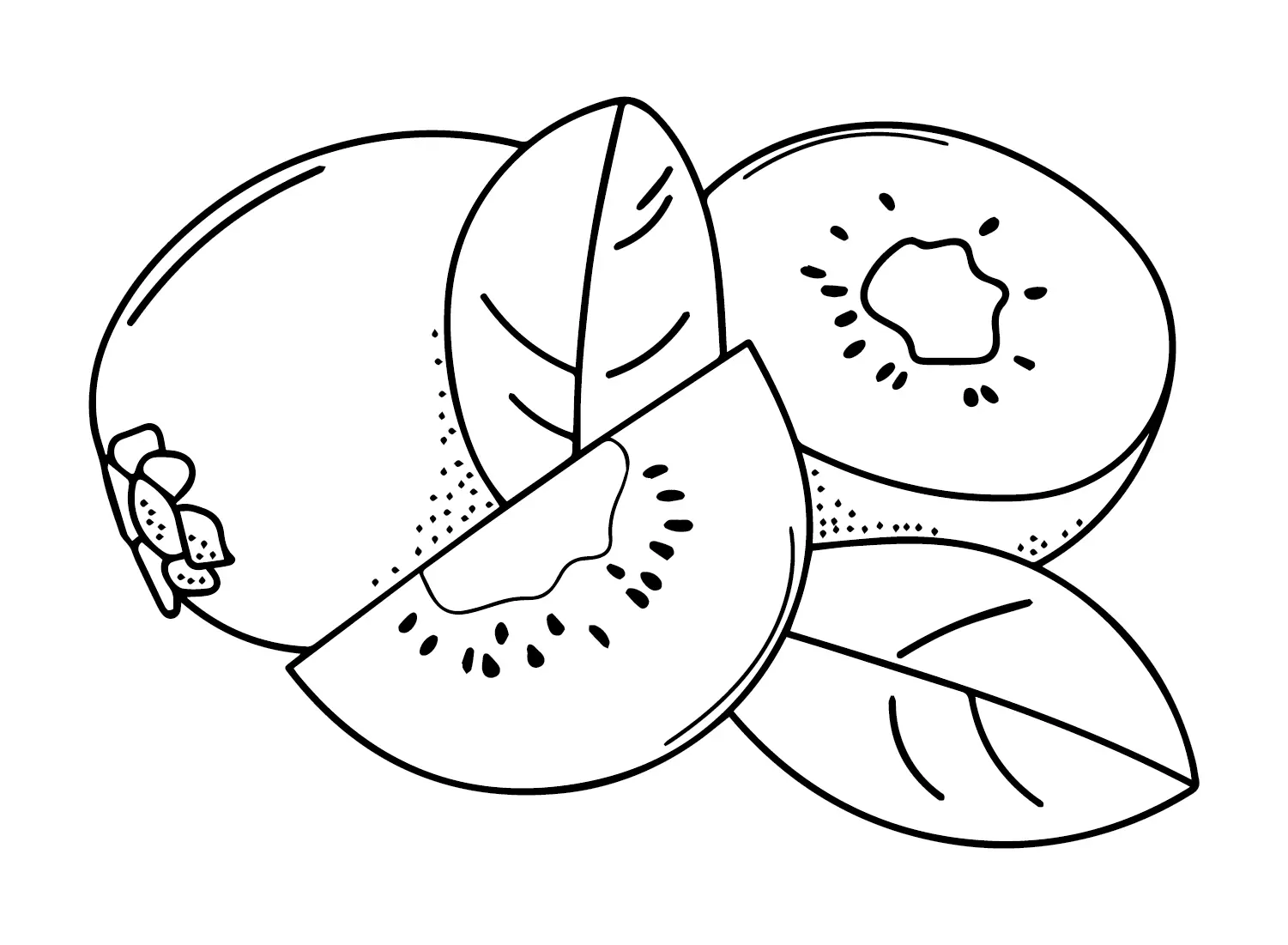 Kiwi Fruit Coloring Pages