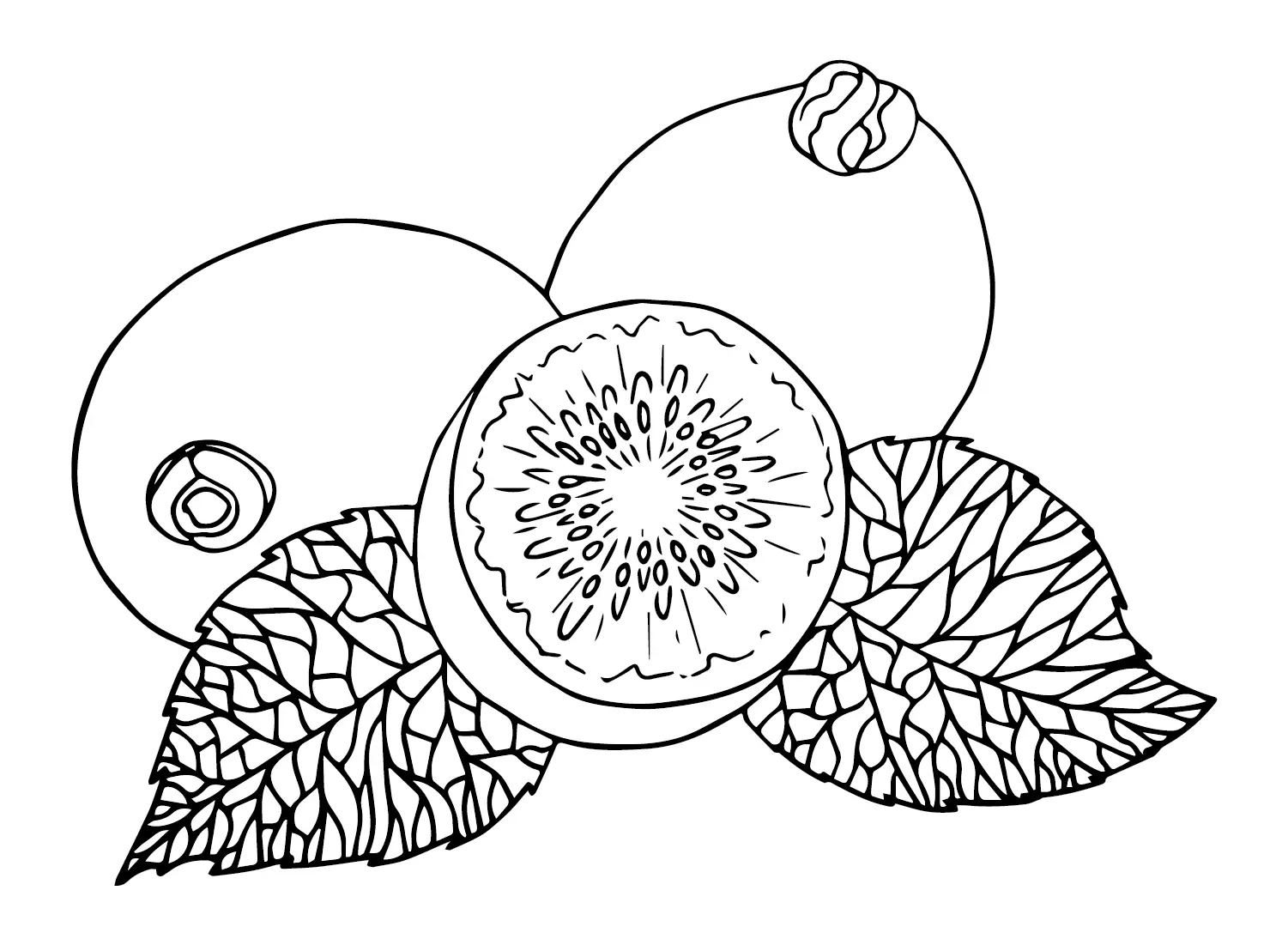 Kiwi Fruit Coloring Pages