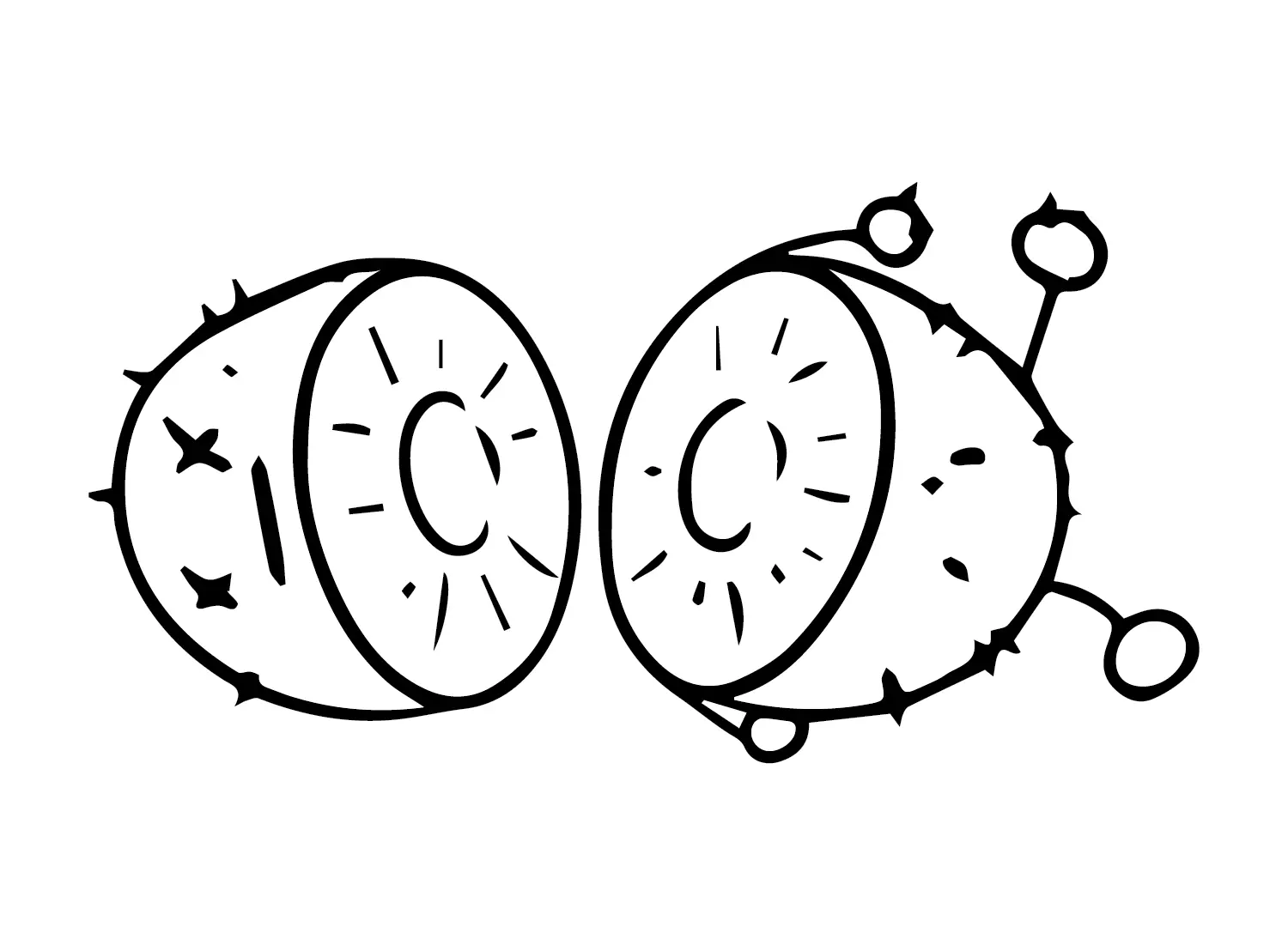 Kiwi Fruit Coloring Pages