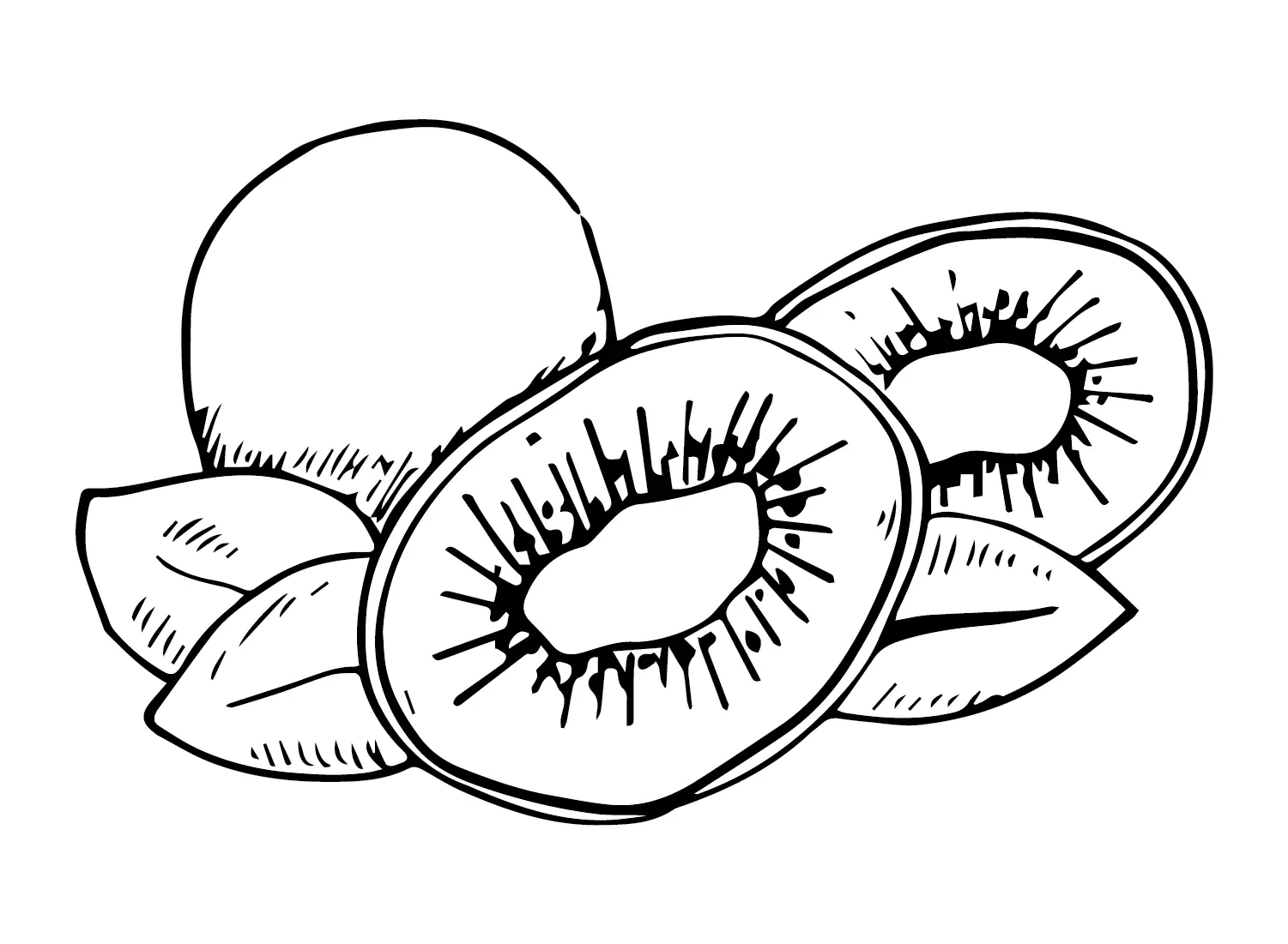 Kiwi Fruit Coloring Pages — Coloring Pages to Print