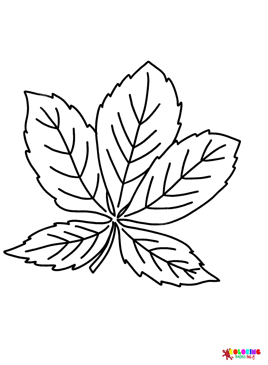 Leaves Coloring Pages