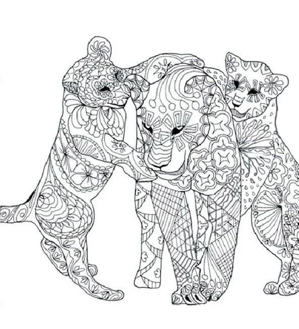 Leopard Coloring Pages