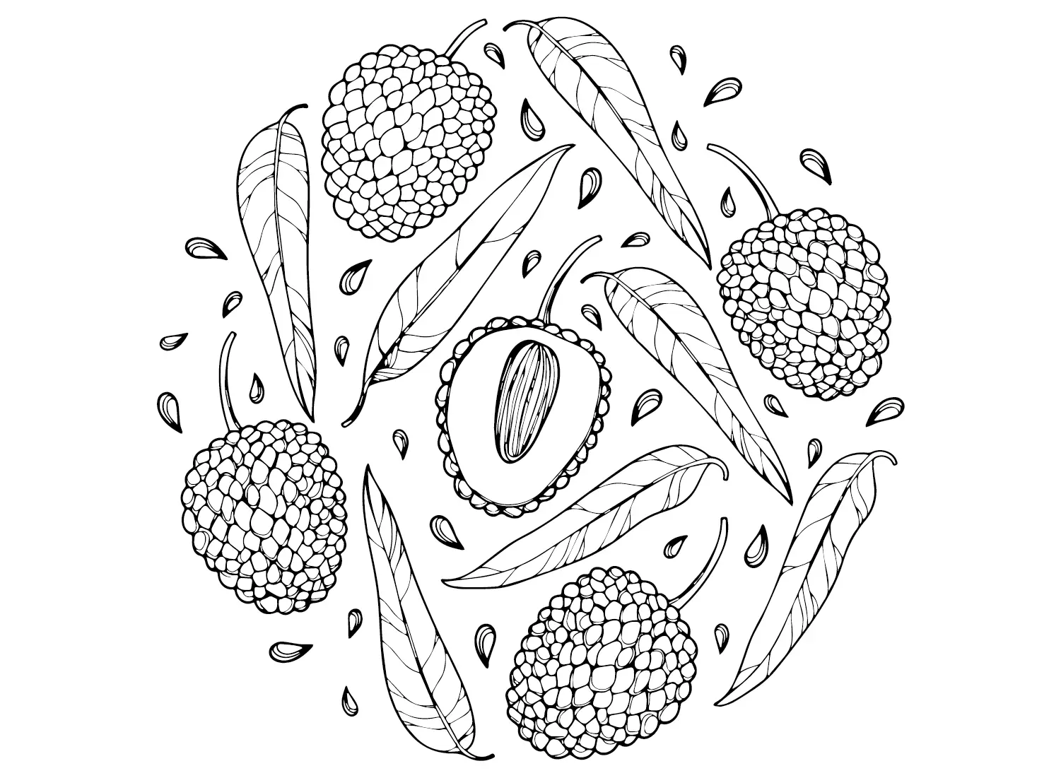 Lychee Coloring Pages
