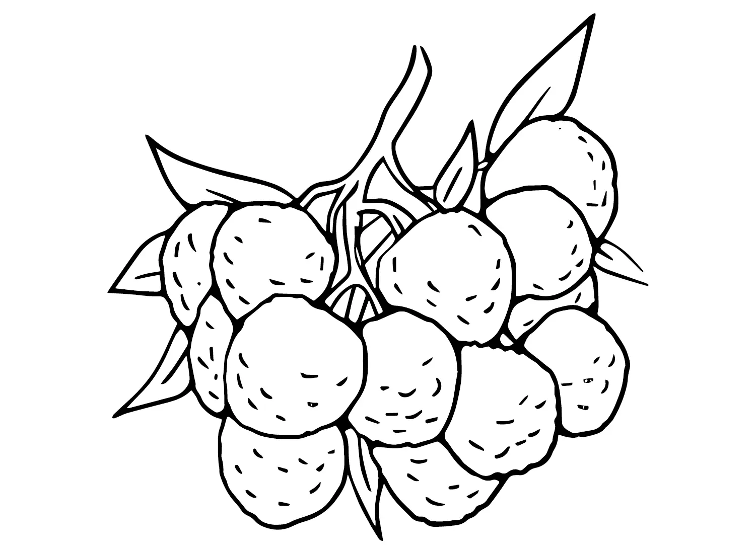 Lychee Coloring Pages