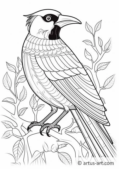 Magpie Coloring Pages