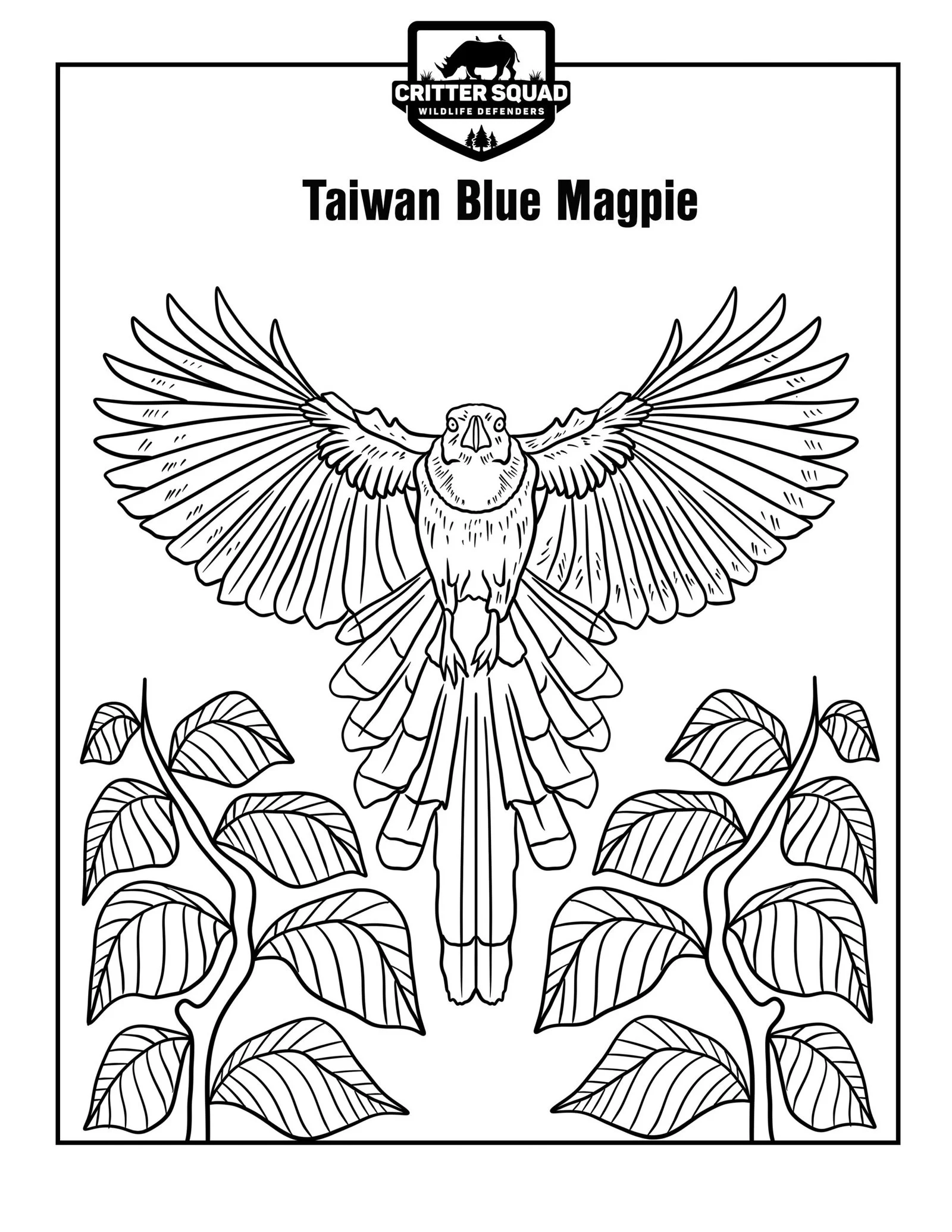 Magpie Coloring Pages