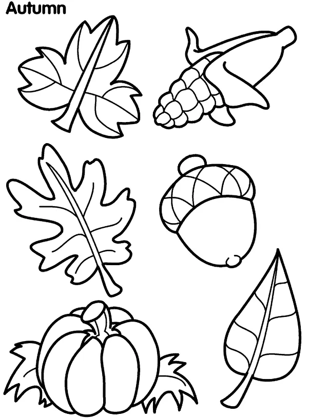 Maple Leaf Coloring Pages