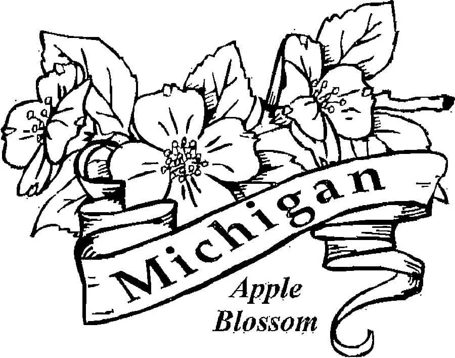 Michigan Coloring Pages