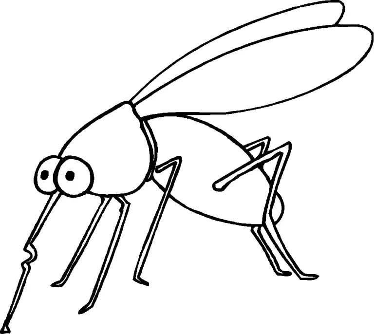 Mosquito Coloring Pages