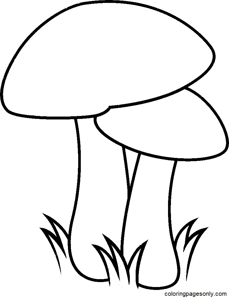 Mushroom Coloring Pages