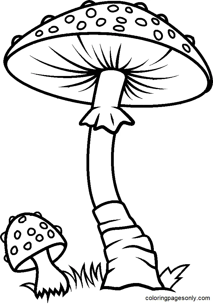 Mushroom Coloring Pages