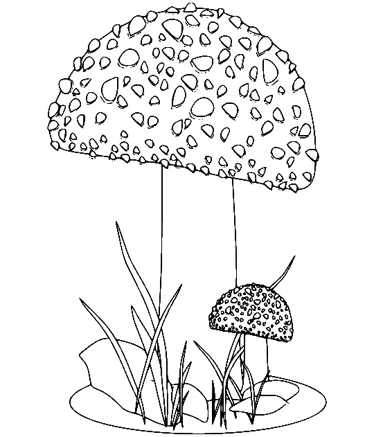 Mushroom Coloring Pages