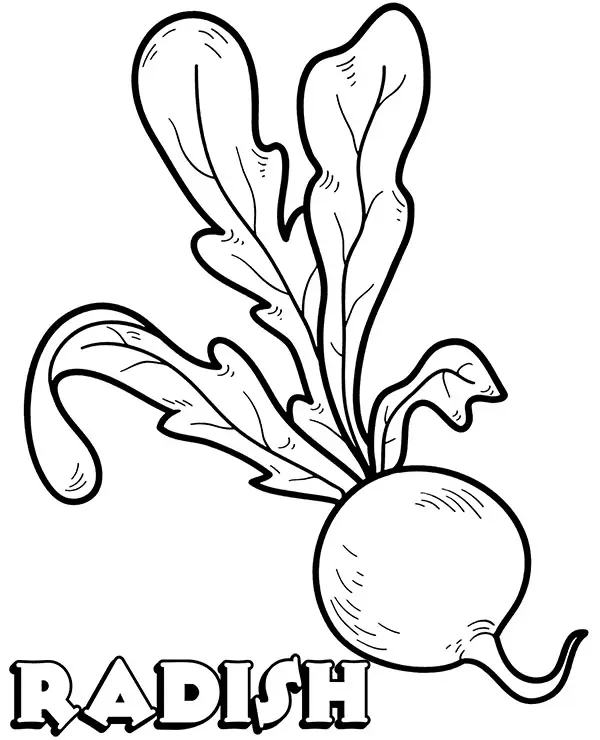 Mushroom Coloring Pages