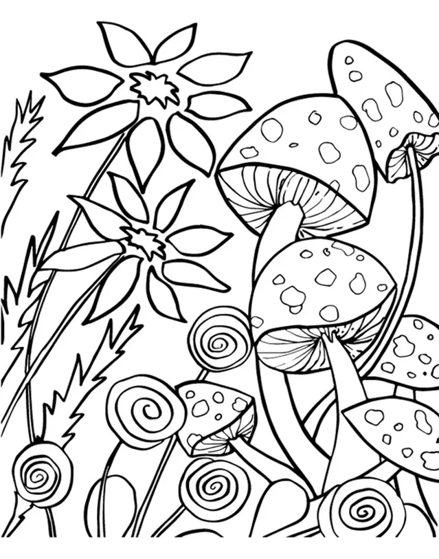 Mushroom Coloring Pages