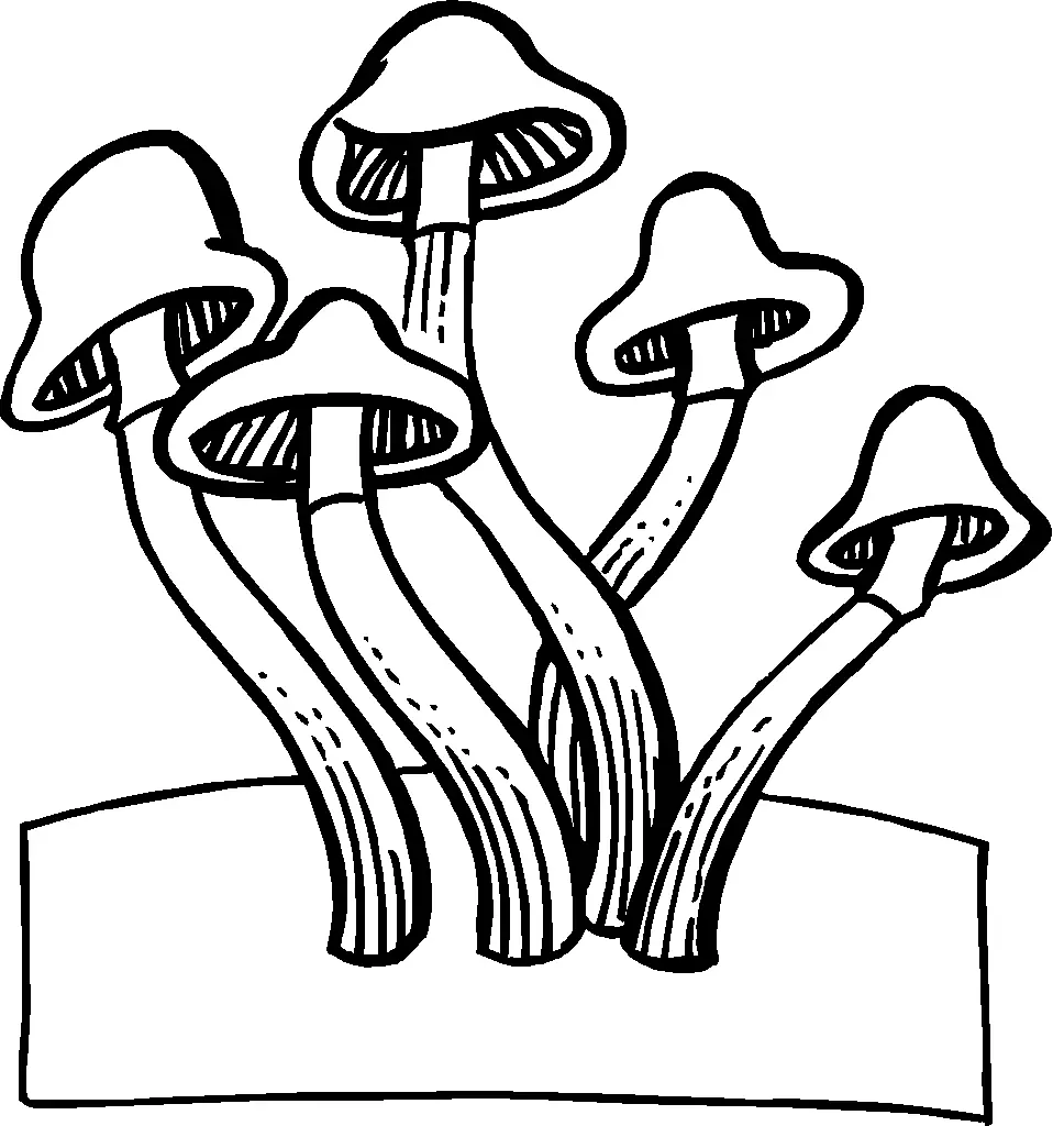 Mushroom Coloring Pages