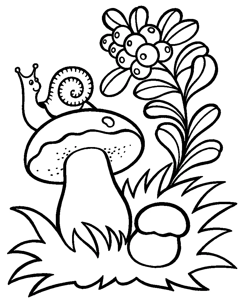 Mushroom Coloring Pages