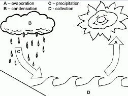 Natural phenomena Coloring Pages