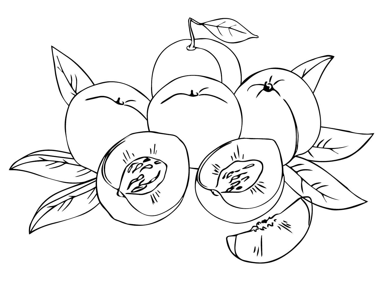 Nectarine Coloring Pages
