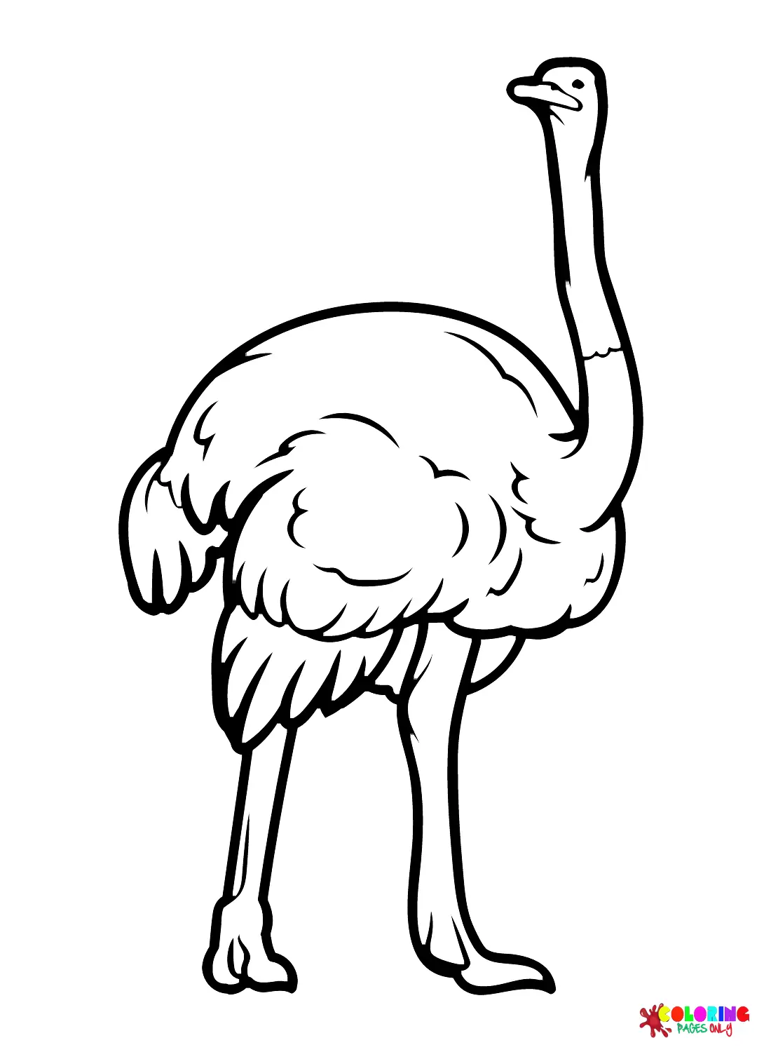 Ostrich Coloring Pages