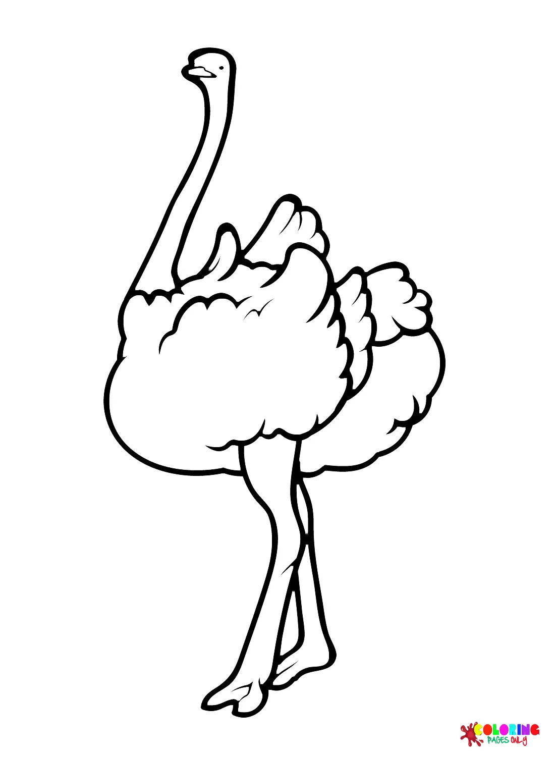 Ostrich Coloring Pages