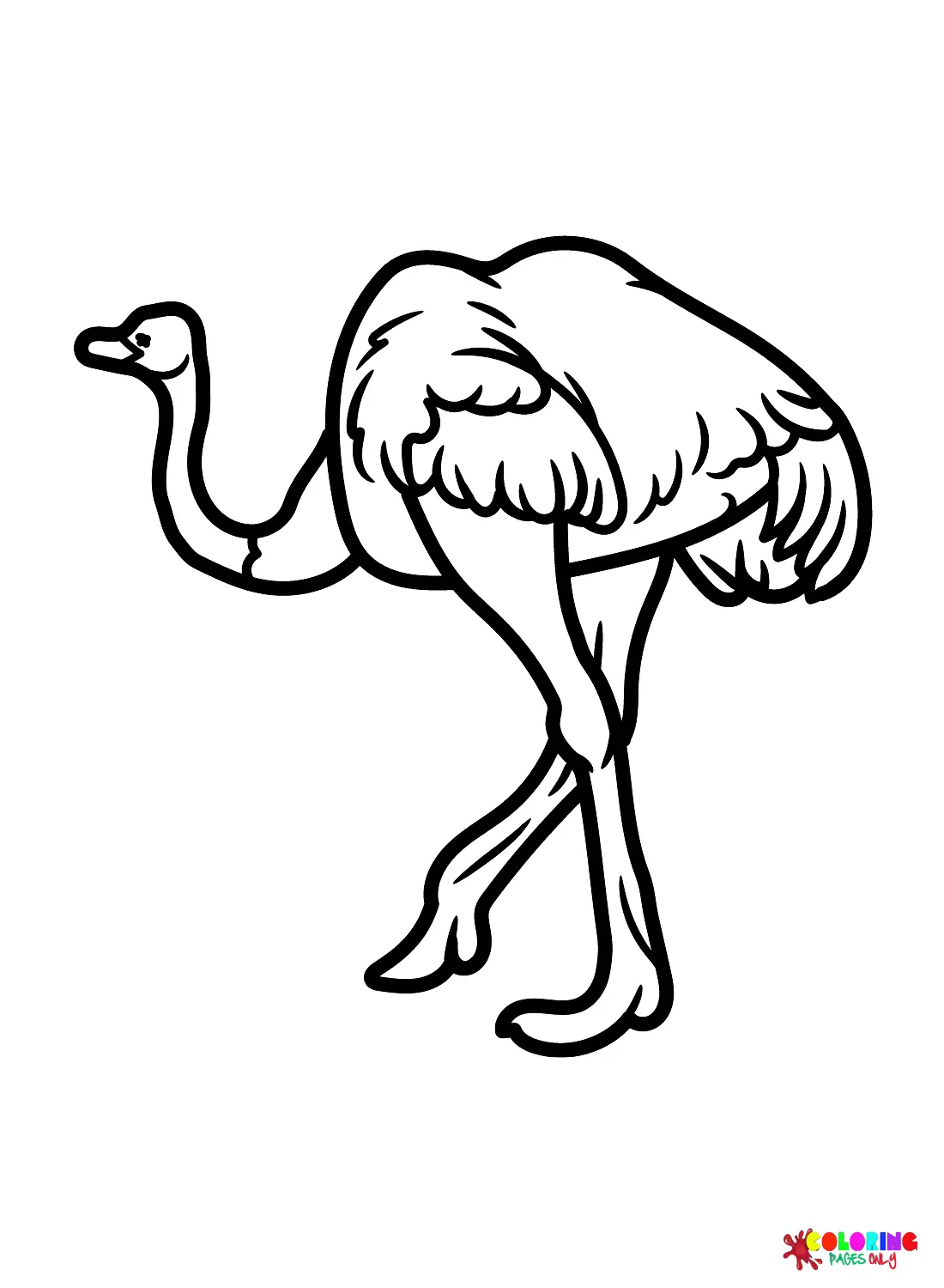 Ostrich Coloring Pages