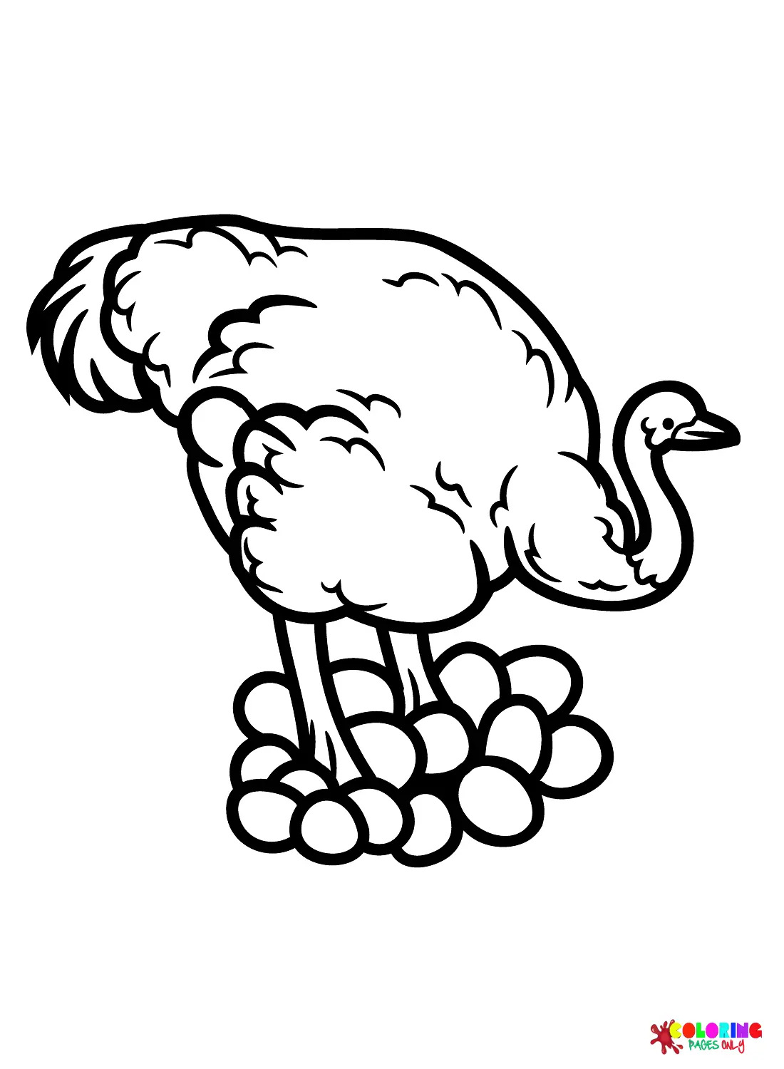 Ostrich Coloring Pages