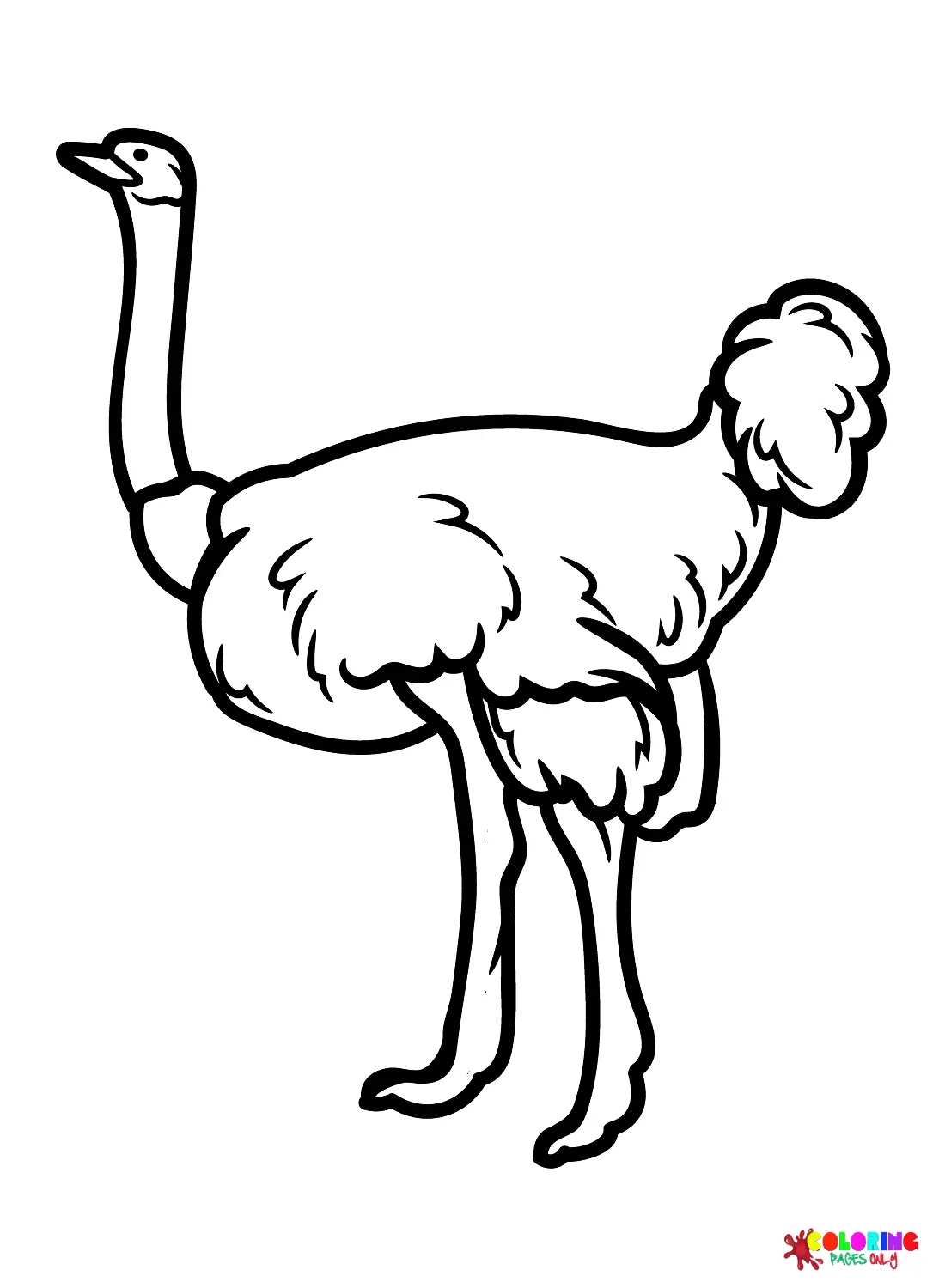 Ostrich Coloring Pages