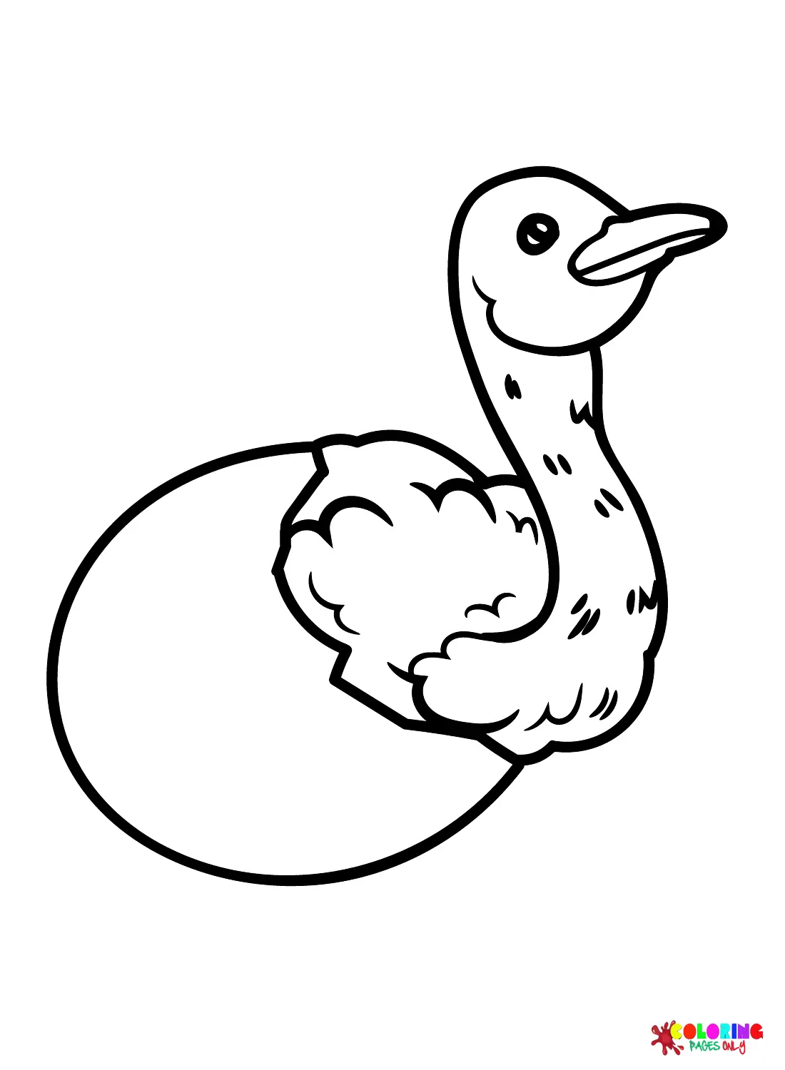 Ostrich Coloring Pages