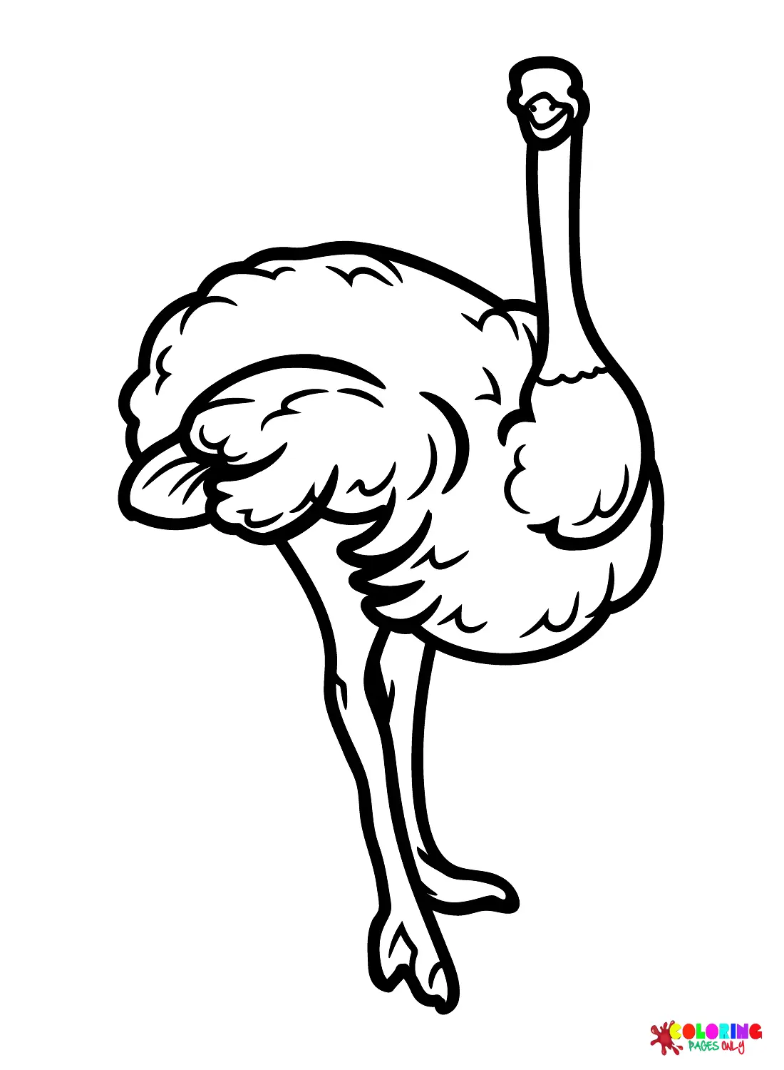 Ostrich Coloring Pages