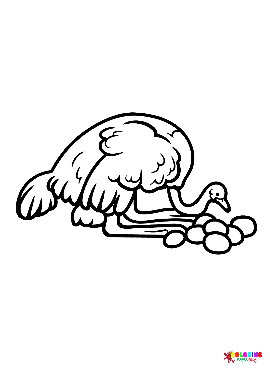 Ostrich Coloring Pages