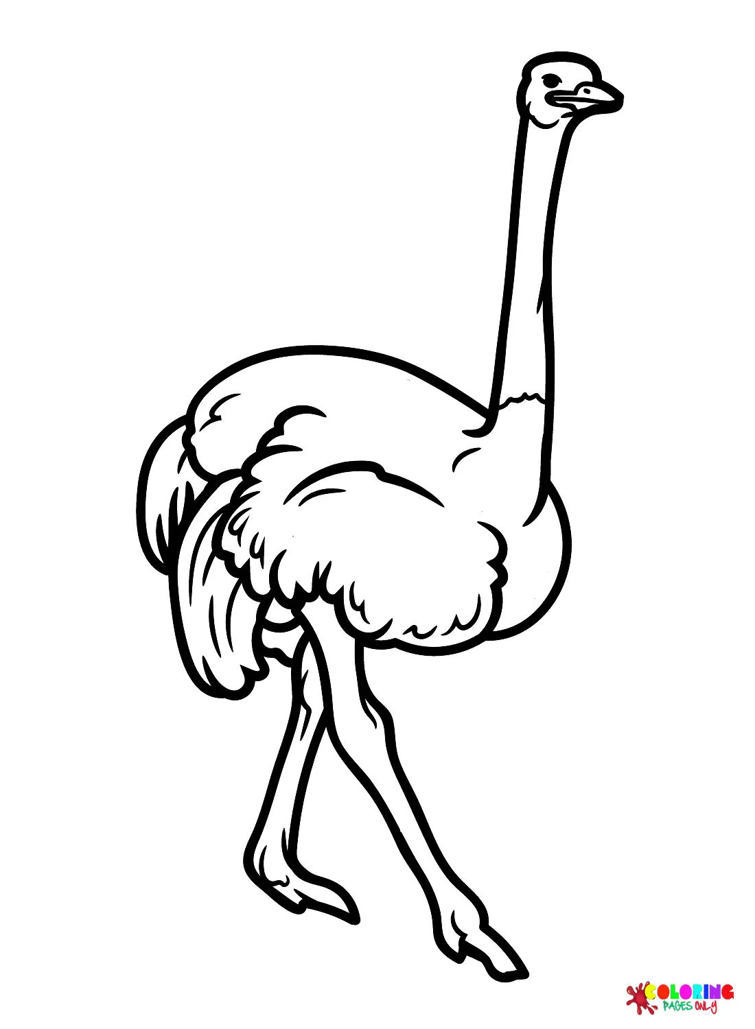 Ostrich Coloring Pages