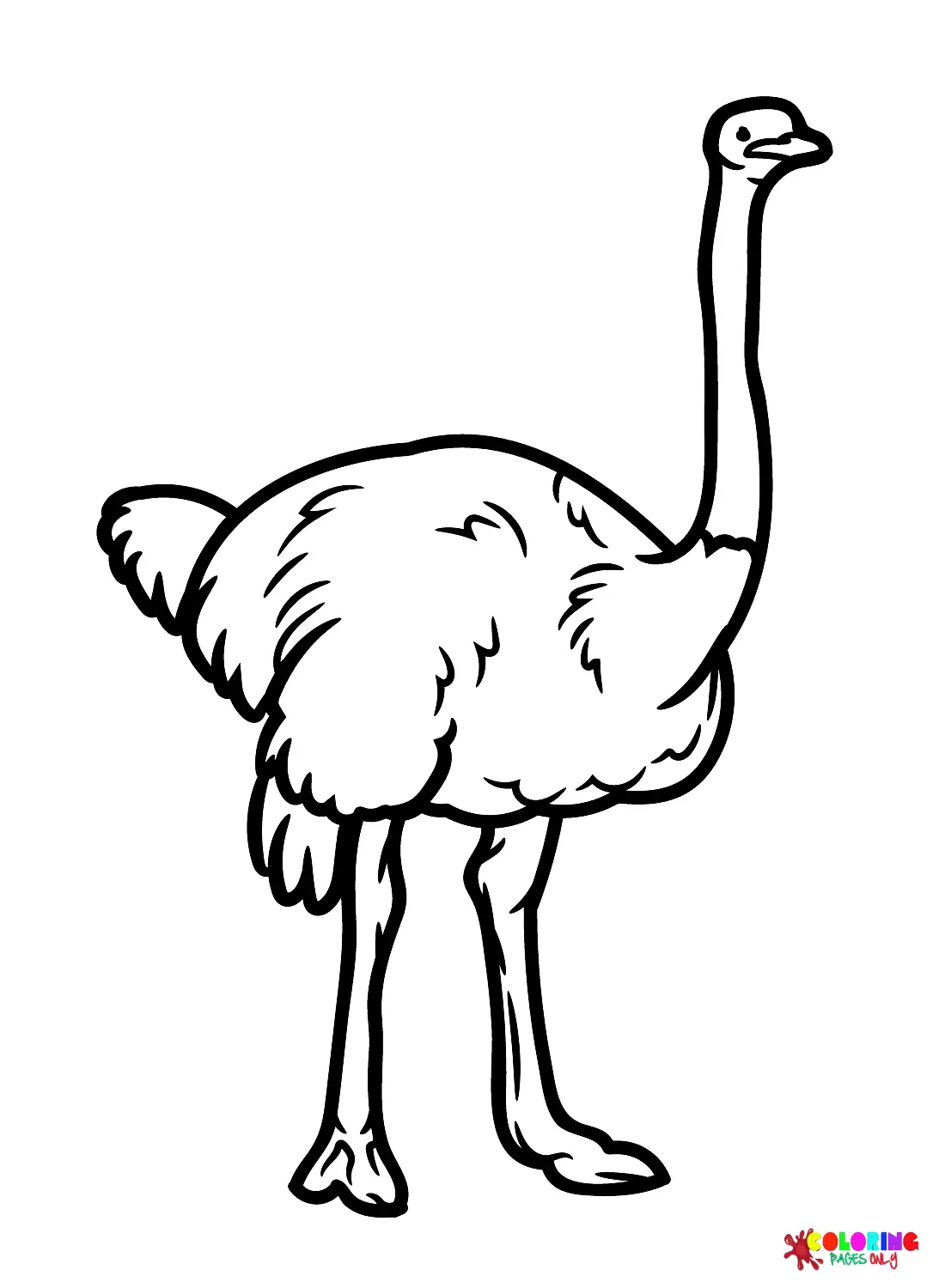 Ostrich Coloring Pages