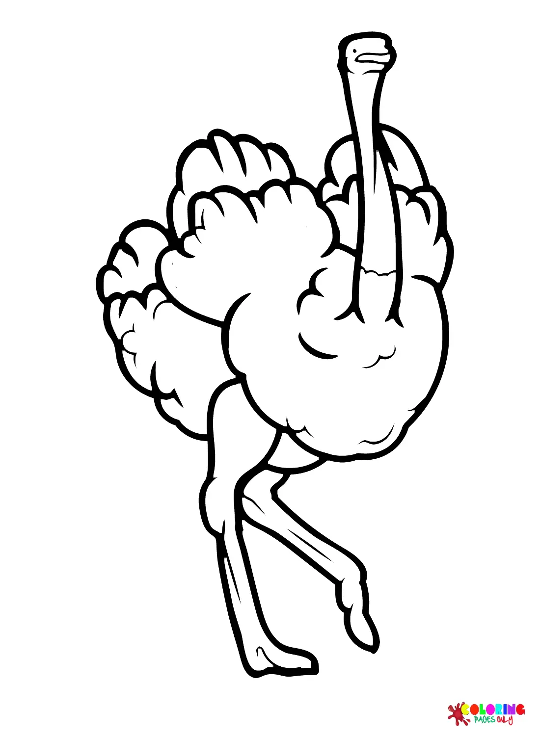 Ostrich Coloring Pages