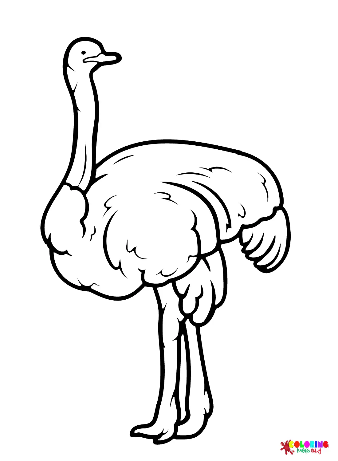 Ostrich Coloring Pages