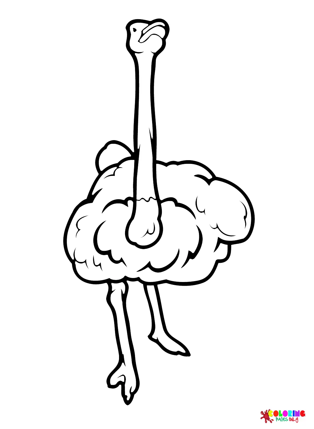 Ostrich Coloring Pages