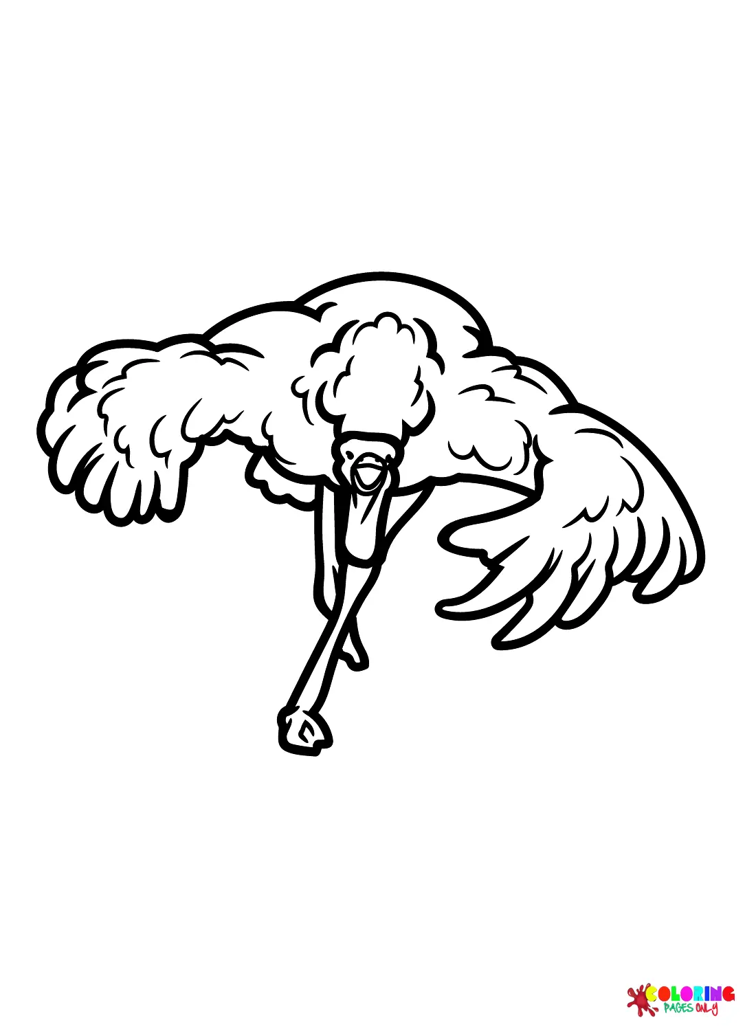 Ostrich Coloring Pages